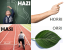 Horri - Orri | Hazi -Hasi